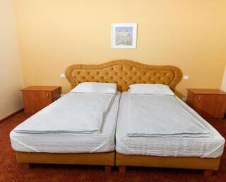 Гостевой дом Pensiunea Floarea de Colt Nucşoara Двухместный номер Делюкс с 1 кроватью или 2 отдельными кроватями-1